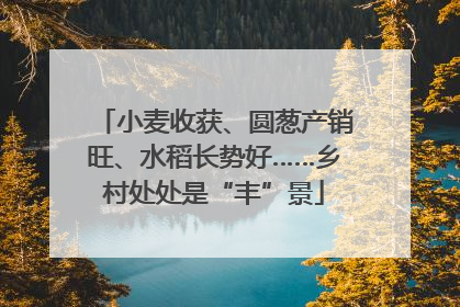 小麦收获、圆葱产销旺、水稻长势好……乡村处处是“丰”景